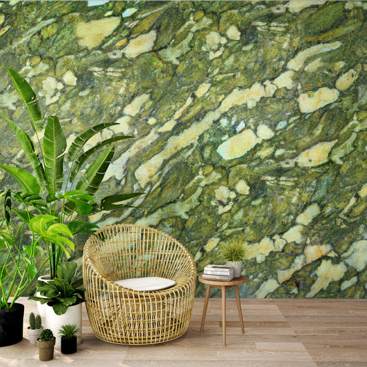 Serene Rainforest Wallpaper